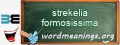 WordMeaning blackboard for strekelia formosissima